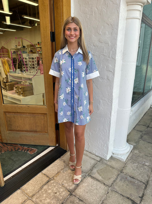 The sally blue dress