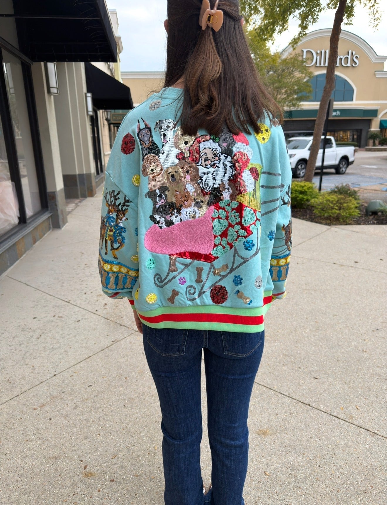 Queen of sparkles aqua dogs on Santa’s sleigh sweatshirt
