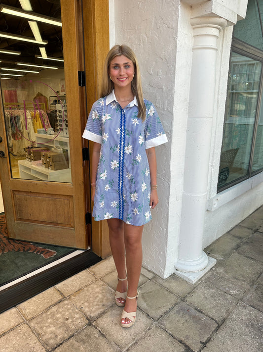 The sally blue dress