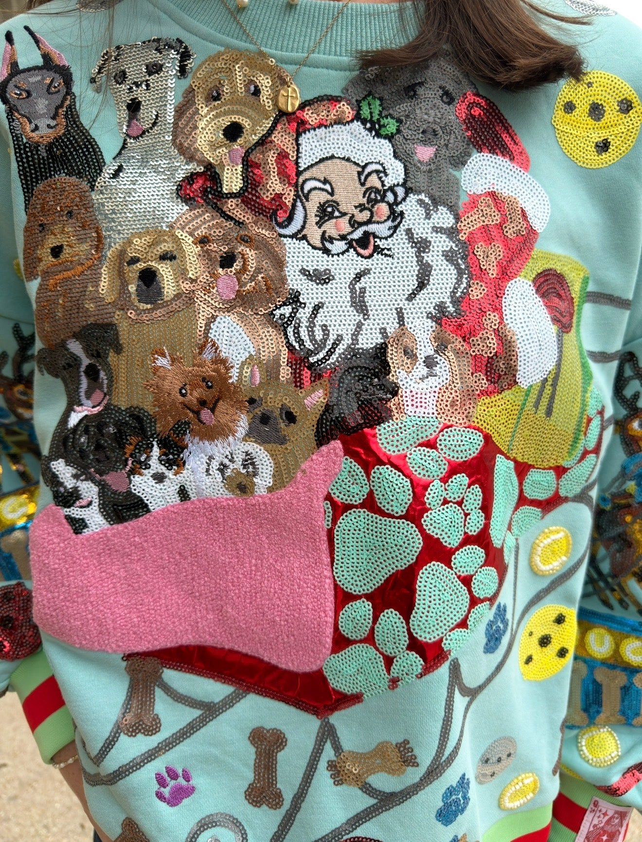 Queen of sparkles aqua dogs on Santa’s sleigh sweatshirt