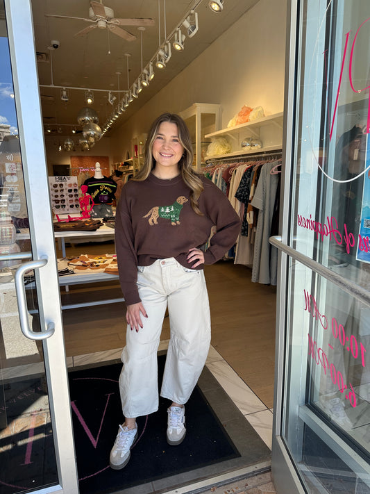 Christmas Dog Sweater