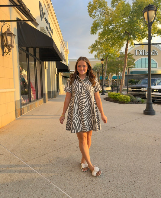 The Jerrica Zebra print denim dress