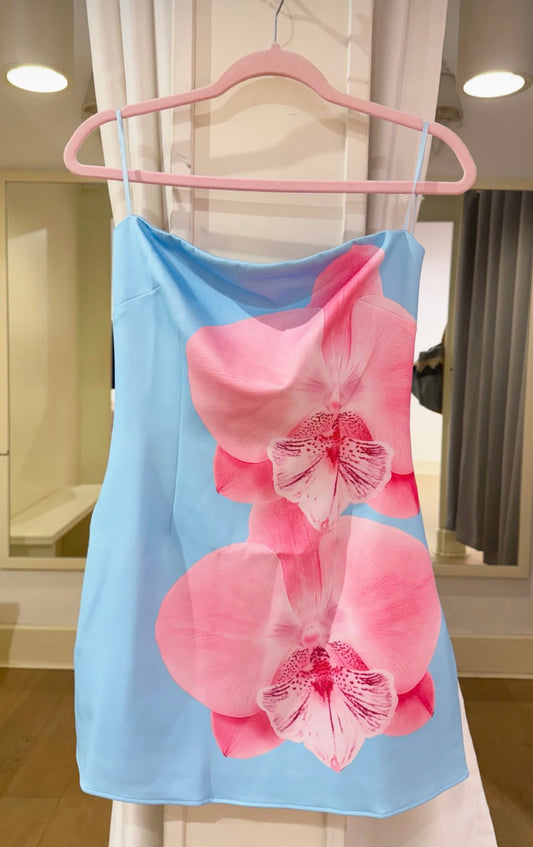 The Delta Dress in Blue/Pink