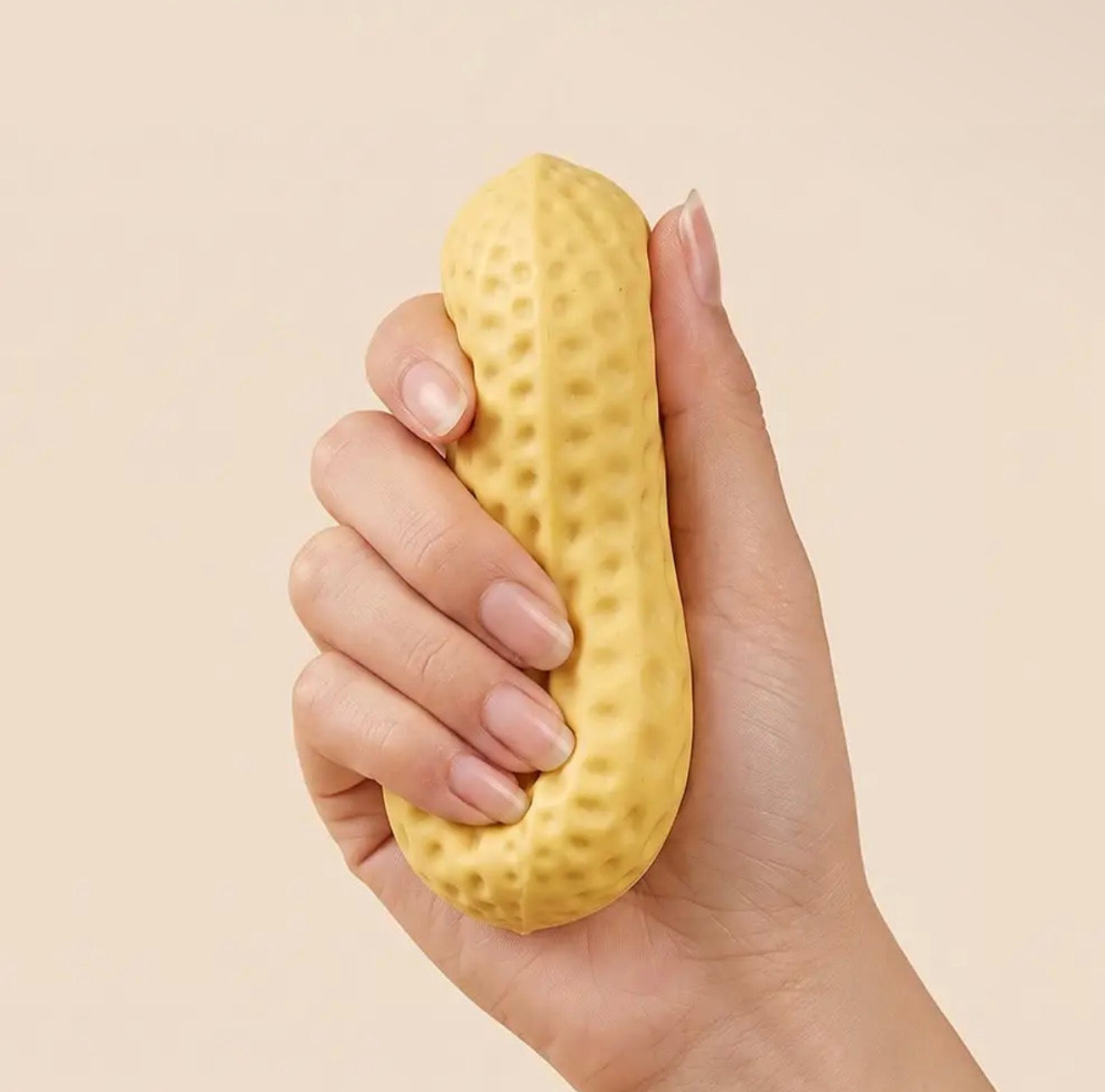 Crunchy Peanut Squishy